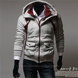 Assassin Creed The Destiny